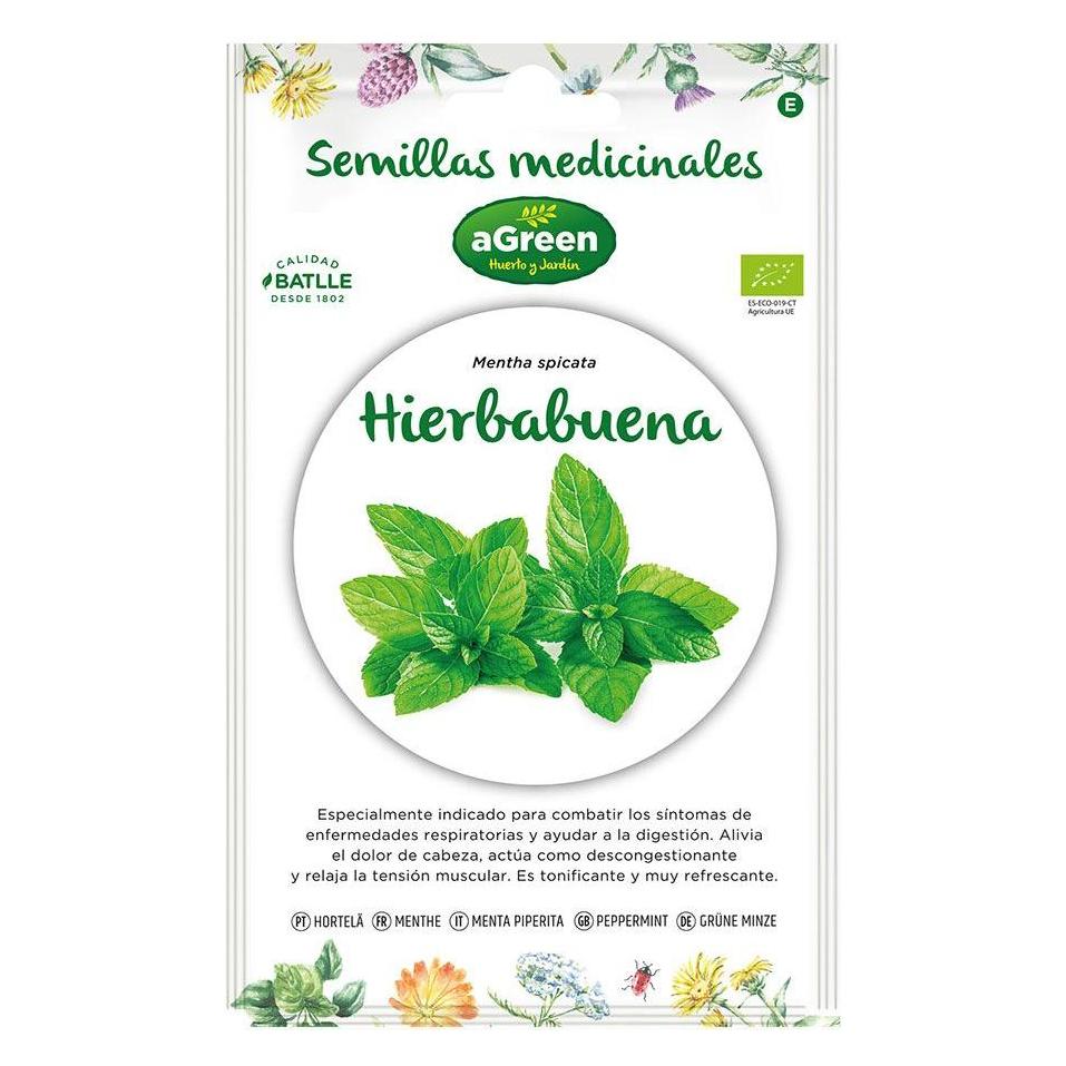 Agreen Peppermint seeds "medicinal" eco 857005bolsh (Kräutersamen) (49406134)