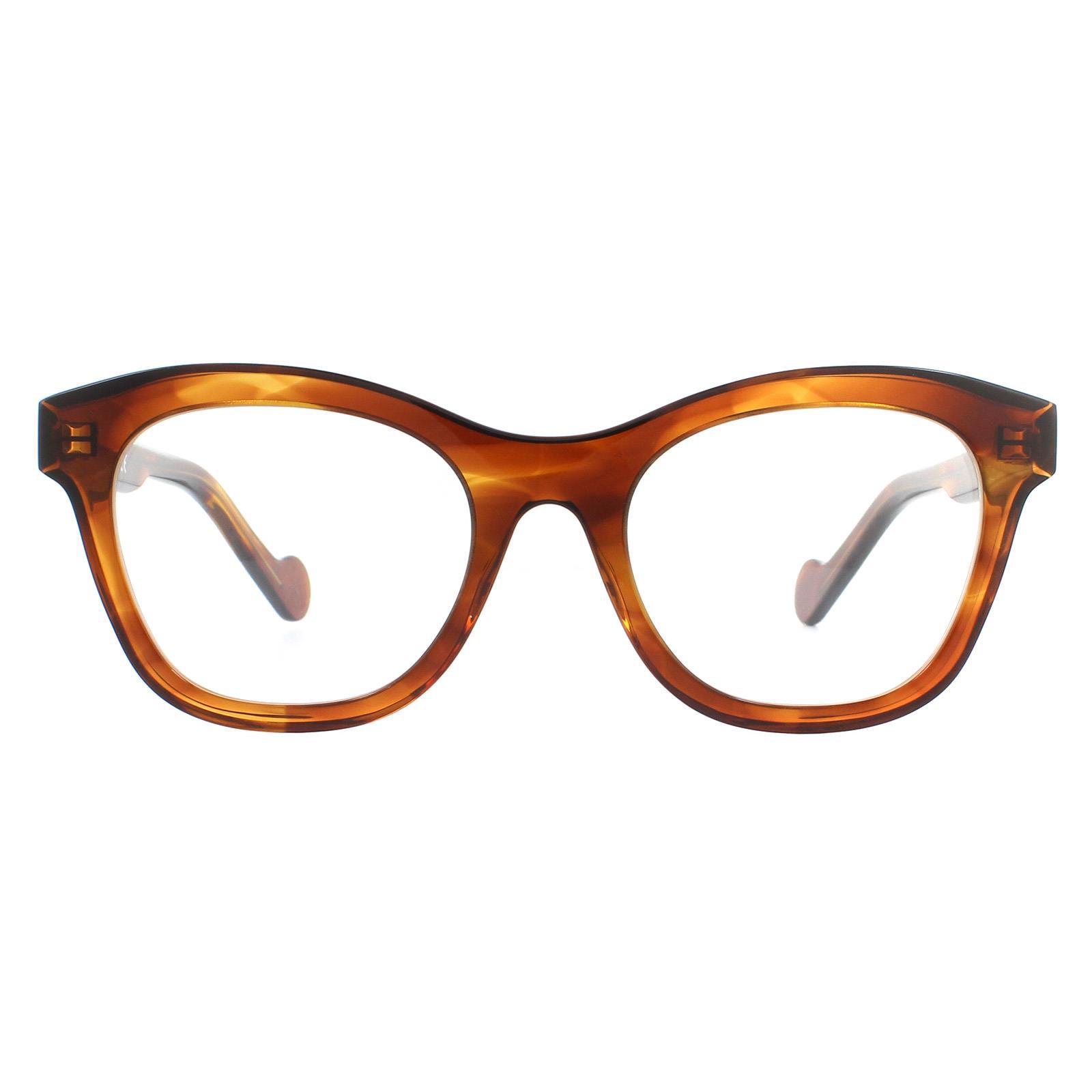 Moncler bril ML5038 052 Dark Havana Men