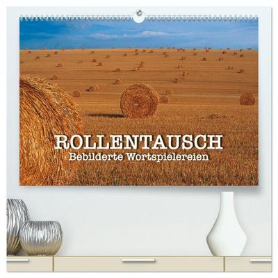 Rollentausch – Bebilderte Wortspielereien (hochwertiger Premium Wandkalender 2026 DIN A2 quer), Kunstdruck in Hochglanz