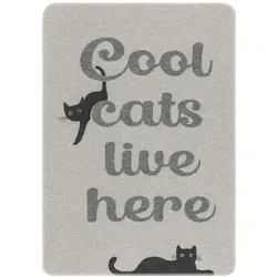 David Fussenegger Katzendecke 'cool cats...' 70 x 90 cm Filz- Grau