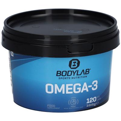 Omega-3 (120 Kapseln) 120 St Kapseln