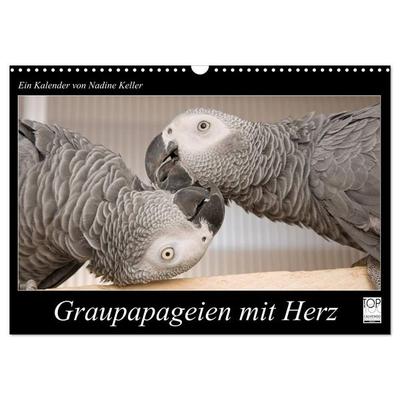Graupapageien mit Herz (Wandkalender 2026 DIN A3 quer), CALVENDO Monatskalender