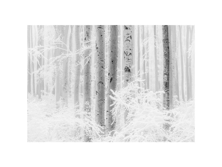 Komar Vliestapete, Schwarz, Weiß, Winterlandschaft, 400x280 cm, Fsc, Tapeten & Wandverkleidungen, Vliestapeten