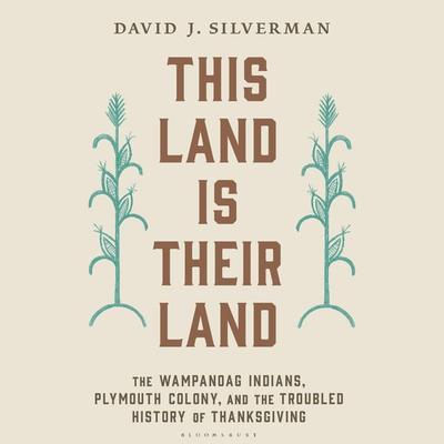 This Land Is Their Land - David J. Silverman, Audio, 9781635575538