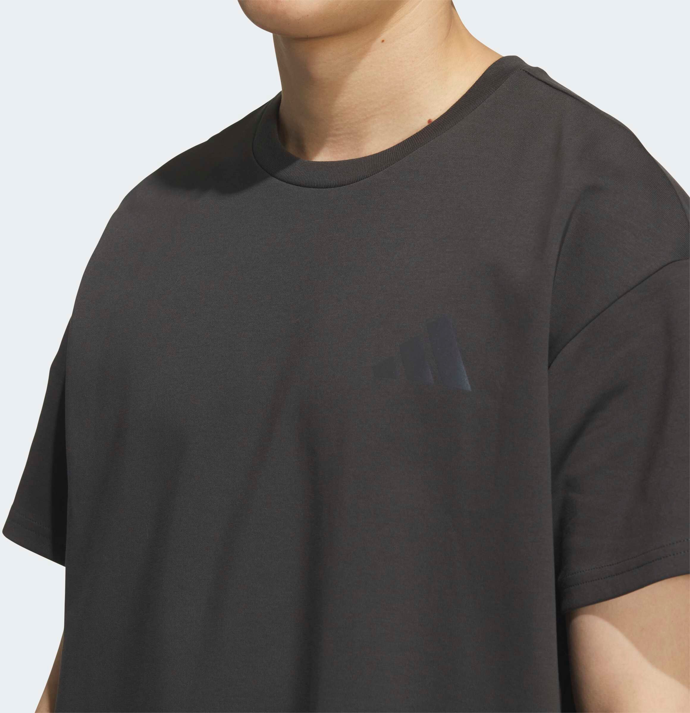 Funktionsshirt ADIDAS TERREX "XPLORIC GRAFIK", Herren, Gr. M, carbon, Obermaterial: 53% Baumwolle, 47% Polyester, Shirts Funktionsshirt carbon M