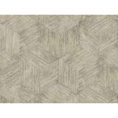 Vliestapete SUPERFRESCO EASY "Superfresco Easy Vliestapete Rotan Beige", beige, B:0,52m L:10,05m, Vlies, Tapeten, Superfresco Easy Vliestapete Rotan Beige