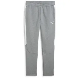 PUMA teamEvostripe Trainingshose Herren 33 - medium gray heather/puma silver/puma white 3XL