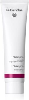 Dr. Hauschka Hair Care Shampoo champô suave 150 ml. Hair Care Shampoo