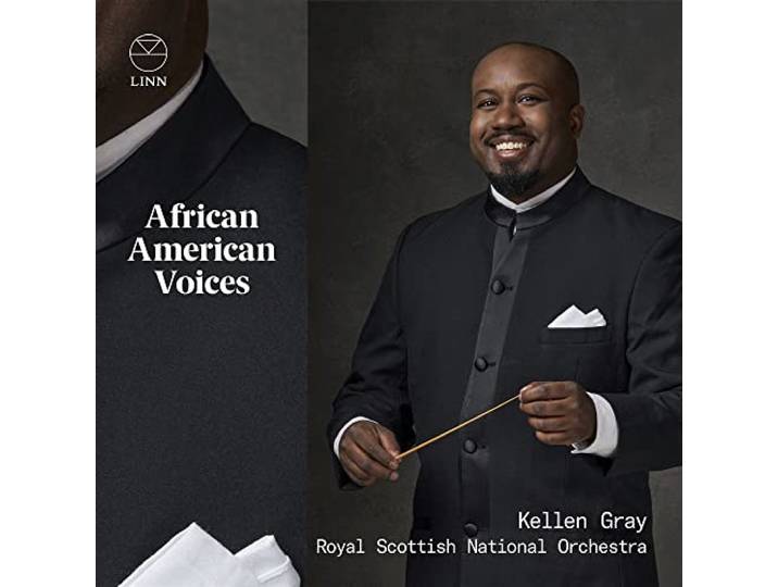 African American Voices