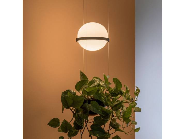 Palma 3724 Hängelampe, Pflanzschale, graphit - Vibia - Wohnzimmer - Modern - Glas - Einflammig