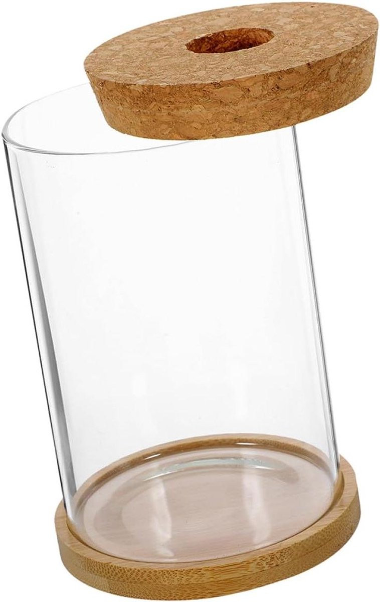 Glazen Terrariumfles voor Micro Landschap en Plantendecoratie - Transparant - Hoogte: 10 cm