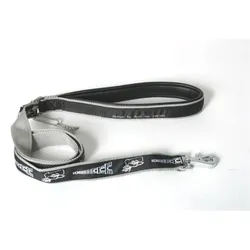 Martin Sellier Carl Paris (25, Hund, Spazieren), Halsband + Leine