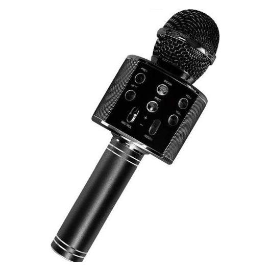 Blackmoon Karaoke microphones (8995) Black (00008995)