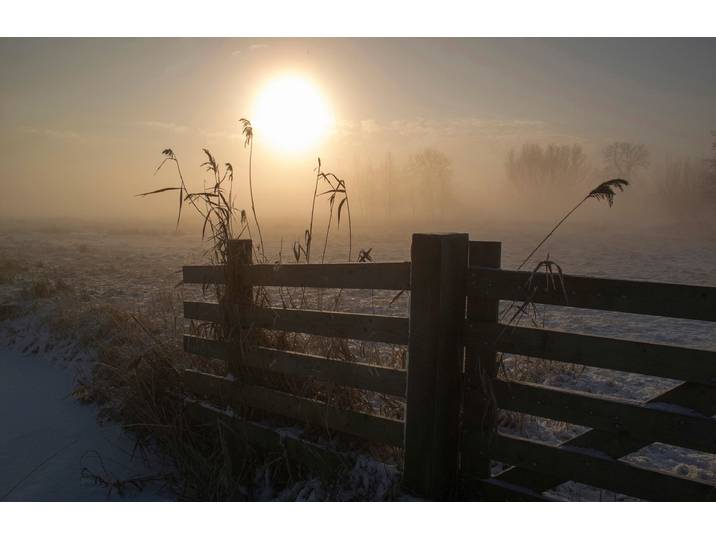Fototapete PAPERMOON Photo-Art Wiese mit Gatter , bunt, B:2m L:1,49m, Vlies, Tapeten, Fototapete