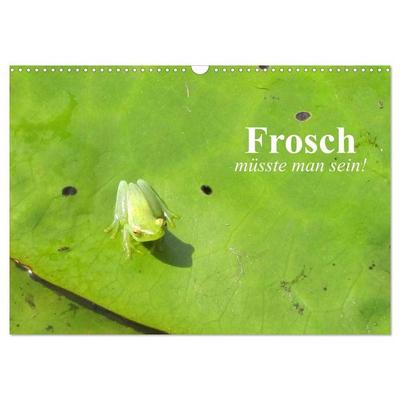 Frosch müsste man sein! (Wandkalender 2027 DIN A3 quer), CALVENDO Monatskalender