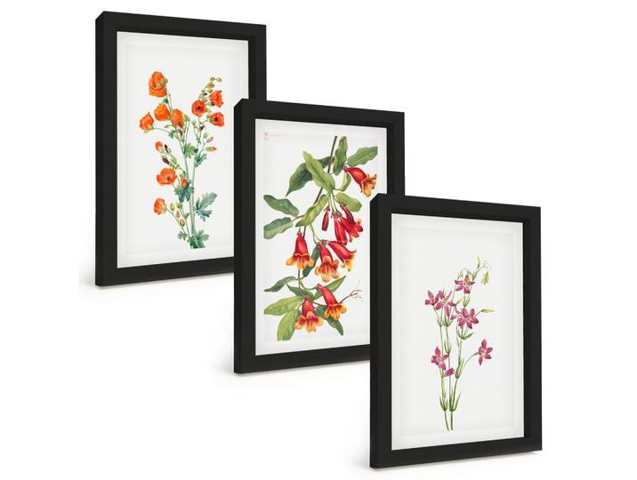 BILDER SET 3er Set - 20x30 cm Schwarzer Rahmen - Vintage-Retro-Blumenmalerei