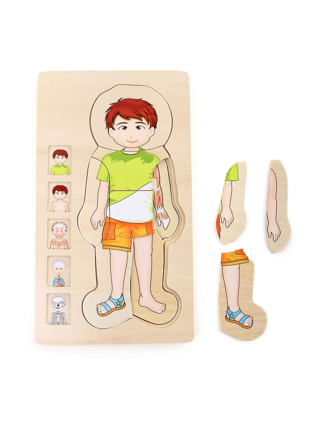 Small Foot Puzzles in Schichten - Anatomie (Junge) Holz