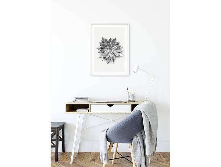 Tableau déco Succulent Agave Papier photo avec surface satinée et haute résistance à la lumière Multicolore 50 x 70 x 0cm
