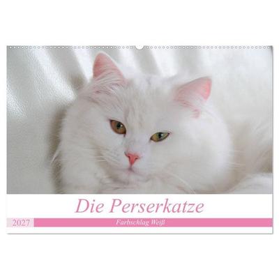 Die Perserkatze - Farbschlag Weiß (Wandkalender 2027 DIN A2 quer), CALVENDO Monatskalender