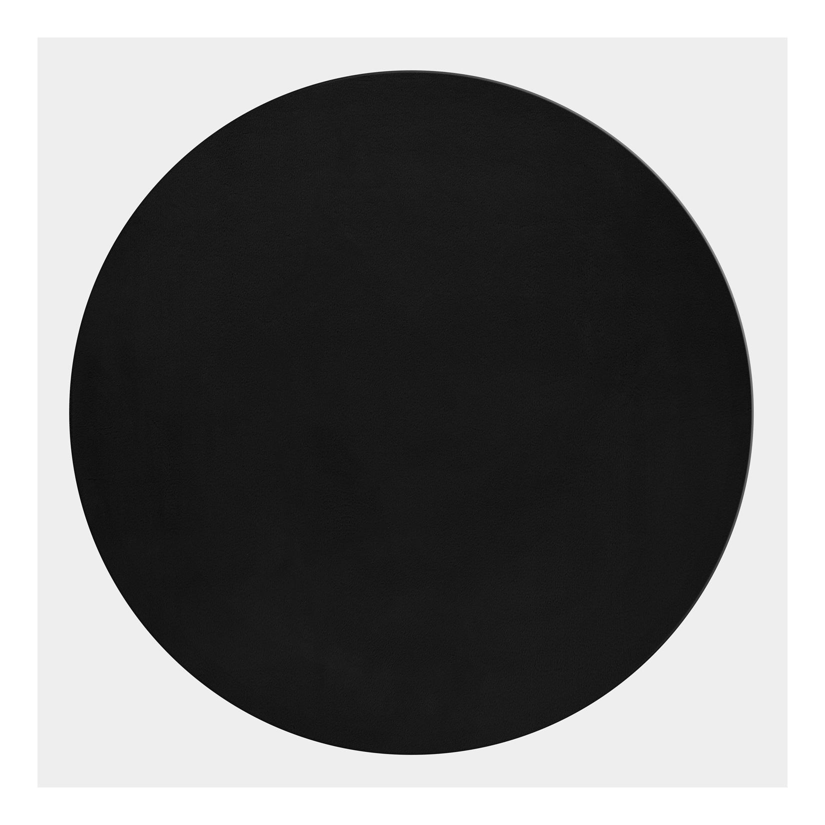 Kurzflorteppich Waschbar NECKAR, einfarbig, Schwarz, Ø 160 cm