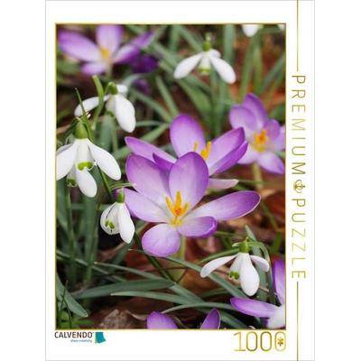 CALVENDO Puzzle Schneeglöckchen und Krokusse | 1000 Teile Lege-Größe 64x48cm Foto-Puzzle für glückliche Stunden