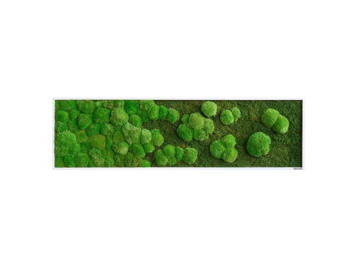 MOOSBILD Grün B: 140 cm