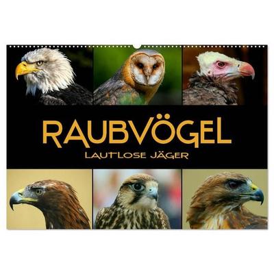 Raubvögel - lautlose Jäger (Wandkalender 2027 DIN A2 quer), CALVENDO Monatskalender