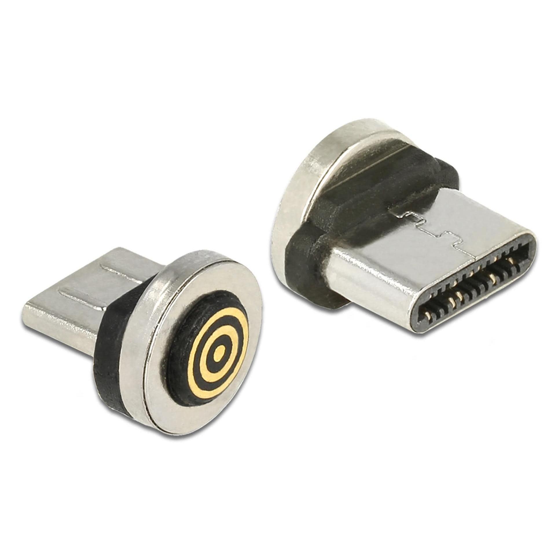 Delock Magnetischer Adapter USB Typ-C (USB 2.0) (65933)