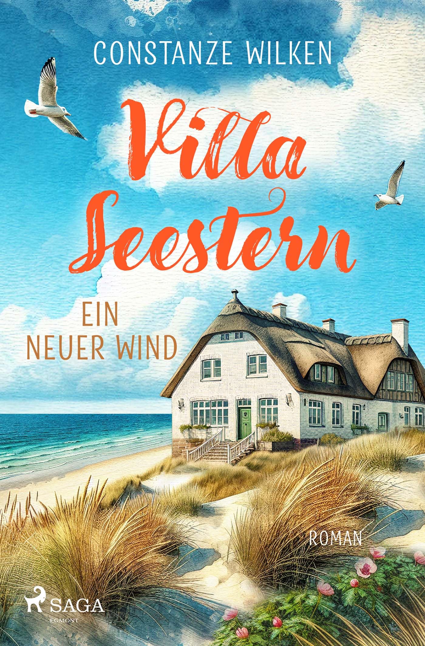 Villa Seestern - Ein neuer Wind: Ein warmherziger Amrum-Roman - Nordsee-Feelgood pur! - Preis vom 13.10.2026 11:25:28 h