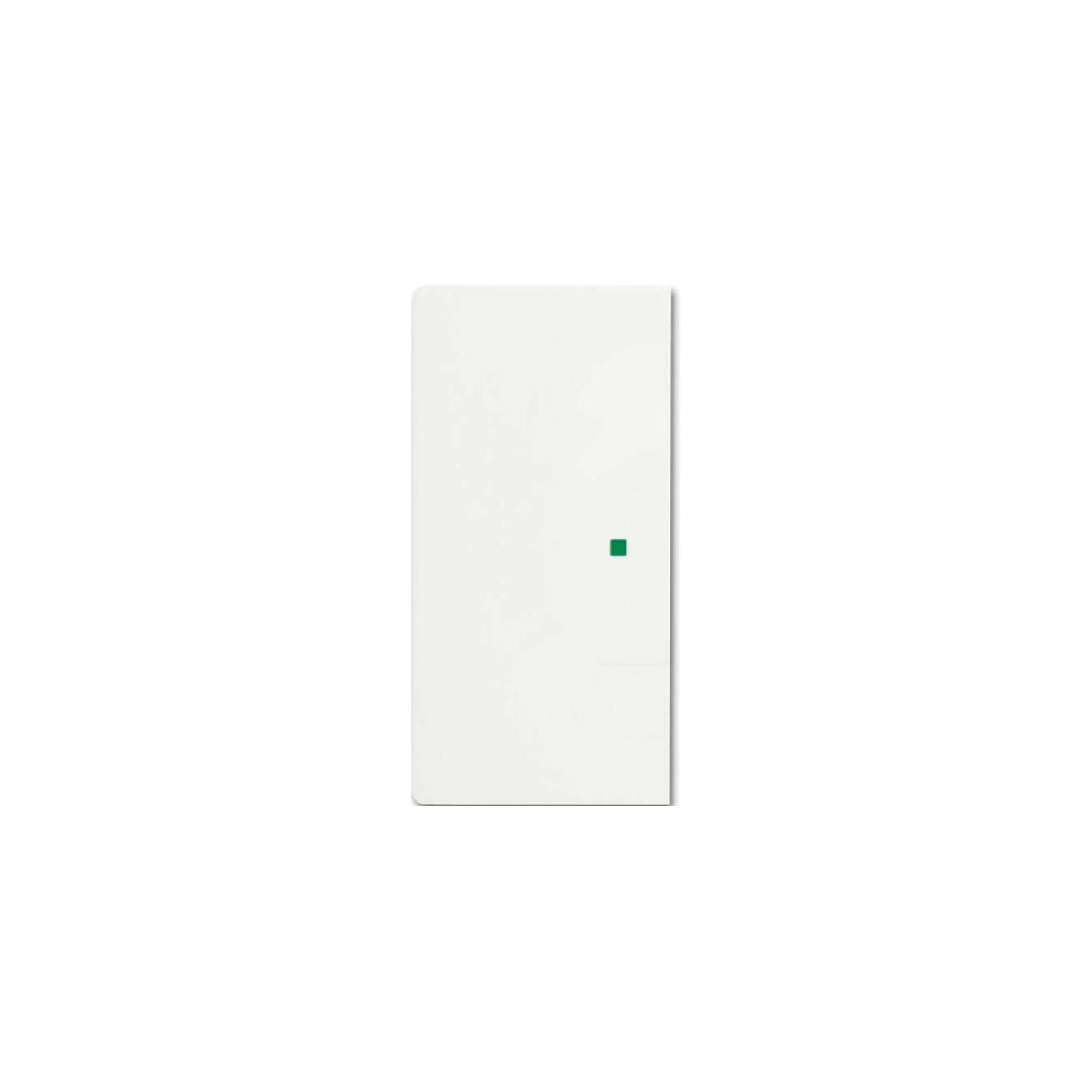 Busch-Jaeger Wippe studiows mt future linear 6230-20-884 (2CKA006220A0486)
