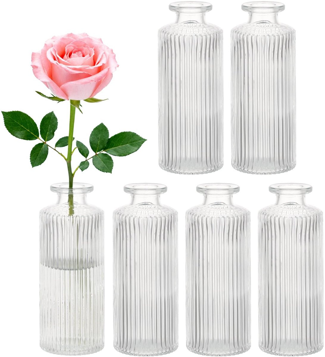 Set van 6 elegante mini glazen vazen voor bloemen