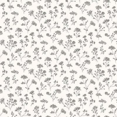 Galerie Wallcoverings Miniatures 3 Cow Parsley Floral Trail Vinyl on Non-woven Matte Wallpaper Roll