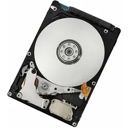 IBM 300Gb Hot Swap 15K SAS HDD (0.30 TB, 3.5"), Festplatte