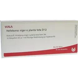 Helleborus niger e planta tota D12 10X1 ml Ampullen