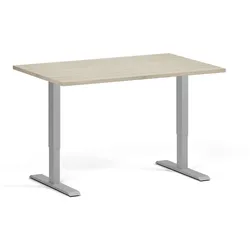 Höhenverstellbarer Schreibtisch, 1 Motor, 74-123 cm, Tischplatte 120x80 cm, graues Metallgestell, Eiche natur