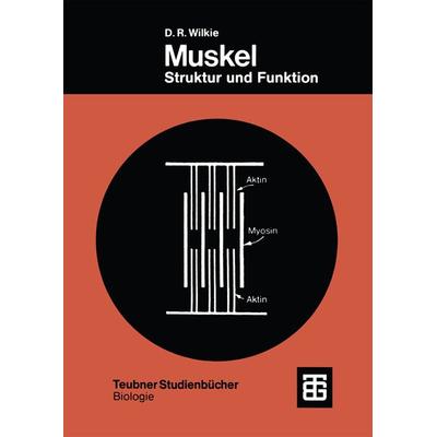 Muskel, Taschenbuch von Douglas Robert Wilkie, Vieweg & Teubner, 978-3-519-03611-1