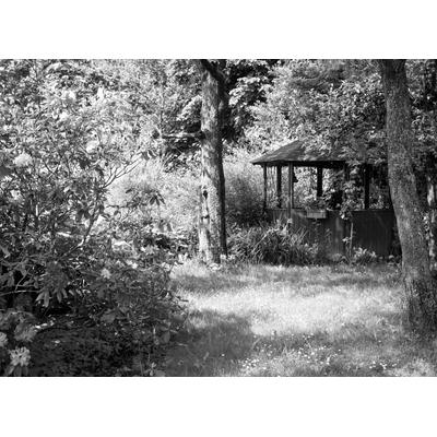 Papermoon "Garten Schwarz & Weiß"