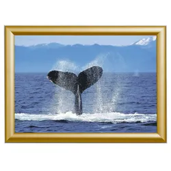 Showdown® Displays Klapprahmen 45,1 x 62,5 cm gold