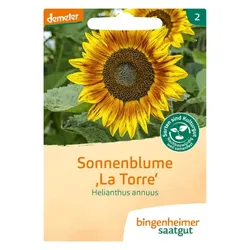 Bingenheimer Saatgut Sonnenblume La Torre demeter