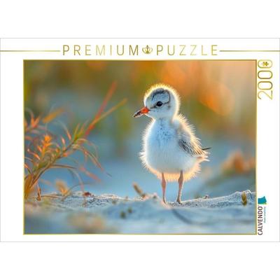 CALVENDO Puzzle Strandläufer, der Nachwuchs auf Entdeckungstour | 2000 Teile Lege-Größe 90x67cm Foto-Puzzle für glückliche Stunden, Sonstige von ,