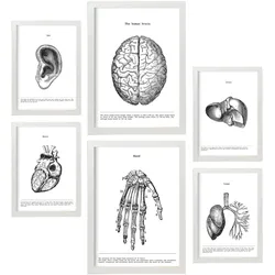 POSTER Set Mit 6 Belies Sammlung A3 & A4 Weißer Rahmen
