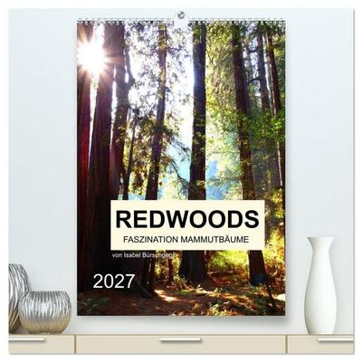 Redwoods - Faszination Mammutbäume (hochwertiger Premium Wandkalender 2027 DIN A2 hoch), Kunstdruck in Hochglanz