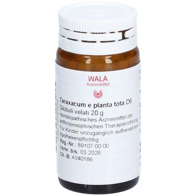 Taraxacum E plant.tota D 6 Globuli 20 g
