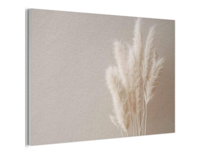 MuchoWow Akustikbild - Pampasgras - Federn - Pastell - Weiß - 90x60, Naturfarben, Kunststoff, Rechteckig, 90x60x0.9 cm, Wandverkleidung, Akustikpaneele