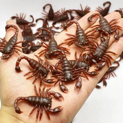 Uplift Treasures Realistic Halloween Prank Bug Set With Cockroaches Spiders And Scorpions b 48pcs