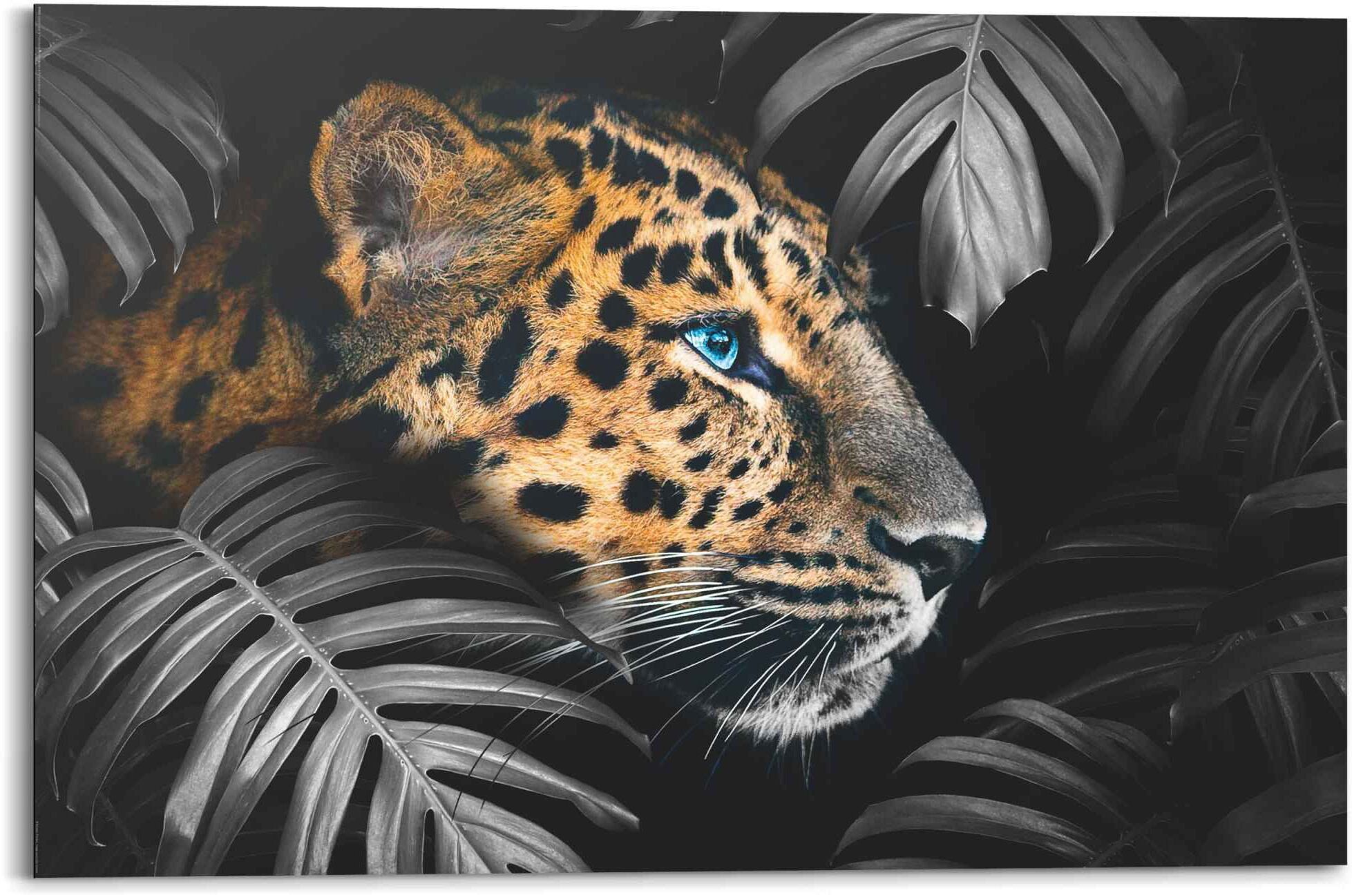 Reinders! Wandbild REINDERS "Wandbild Leopard Jungle - Pflanze - Tiermotiv", bunt (farbe bild(er): mehrfarbig), B:90cm H:60cm, MDF, Bilder, Wandbild
