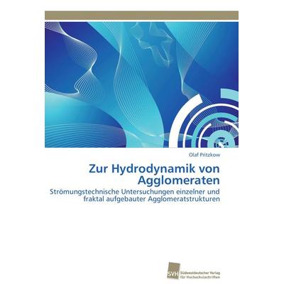 Zur Hydrodynamik von Agglomeraten, Taschenbuch von Olaf Pritzkow, Südwestdeutscher Verlag für Hochschulschriften, 978-3-8381-2807-8