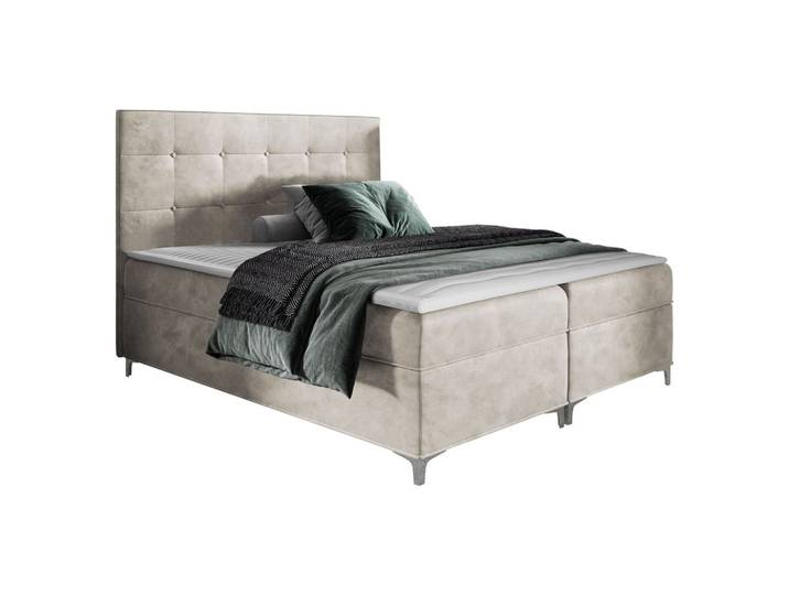 BOXBETT Snake - H3