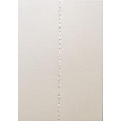 Zwischen den zeilen die zeilen dazwischen, Gebundene Ausgabe von , Verlag für moderne Kunst, 978-3-99153-151-7