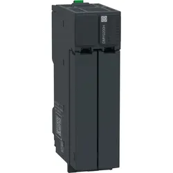 Schneider Electric Platzhalter-Modul, Doppels NTSDMY0200H